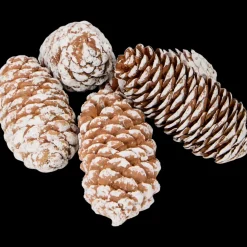 Decoratiemix | Action NL