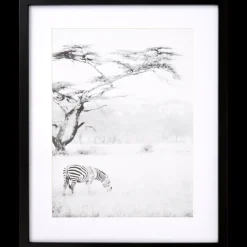 Fotolijst Texas 40 x 50 cm | Action NL