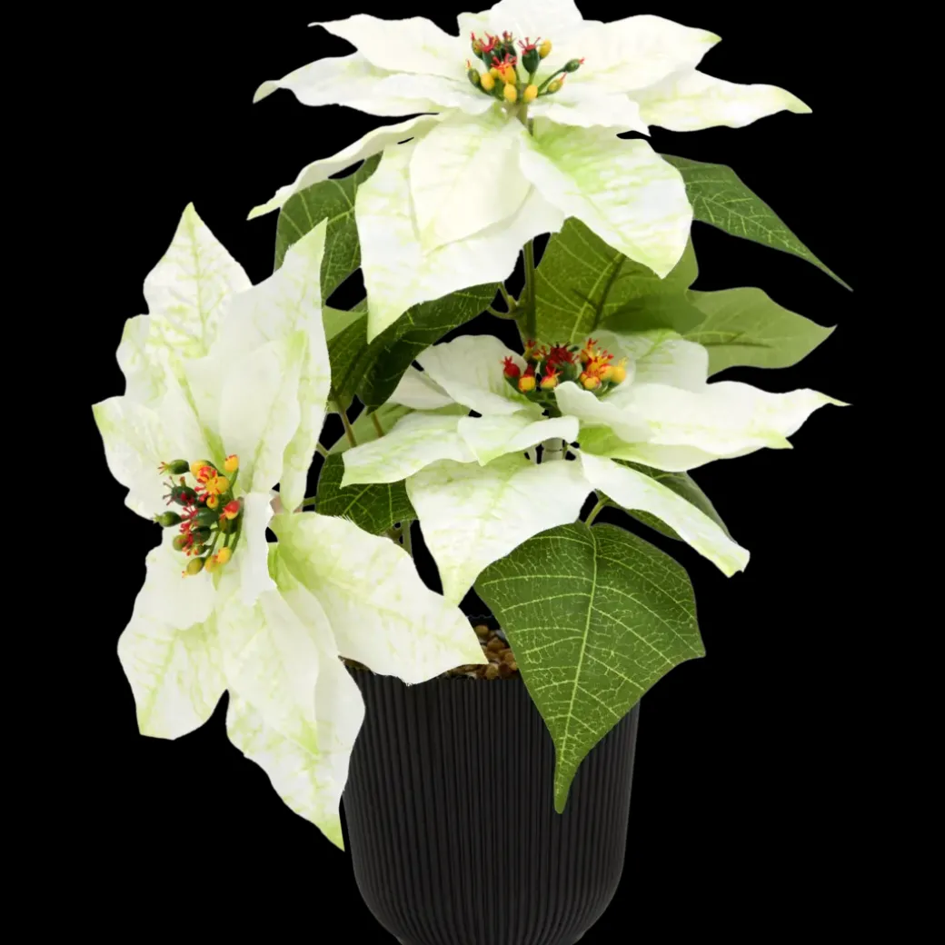 Home Accents kunst-kerstster | Action NL