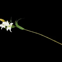 Kunstlelie | Action NL