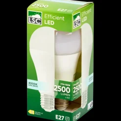 LSC ledlamp 17 watt 2500 lm | Action NL