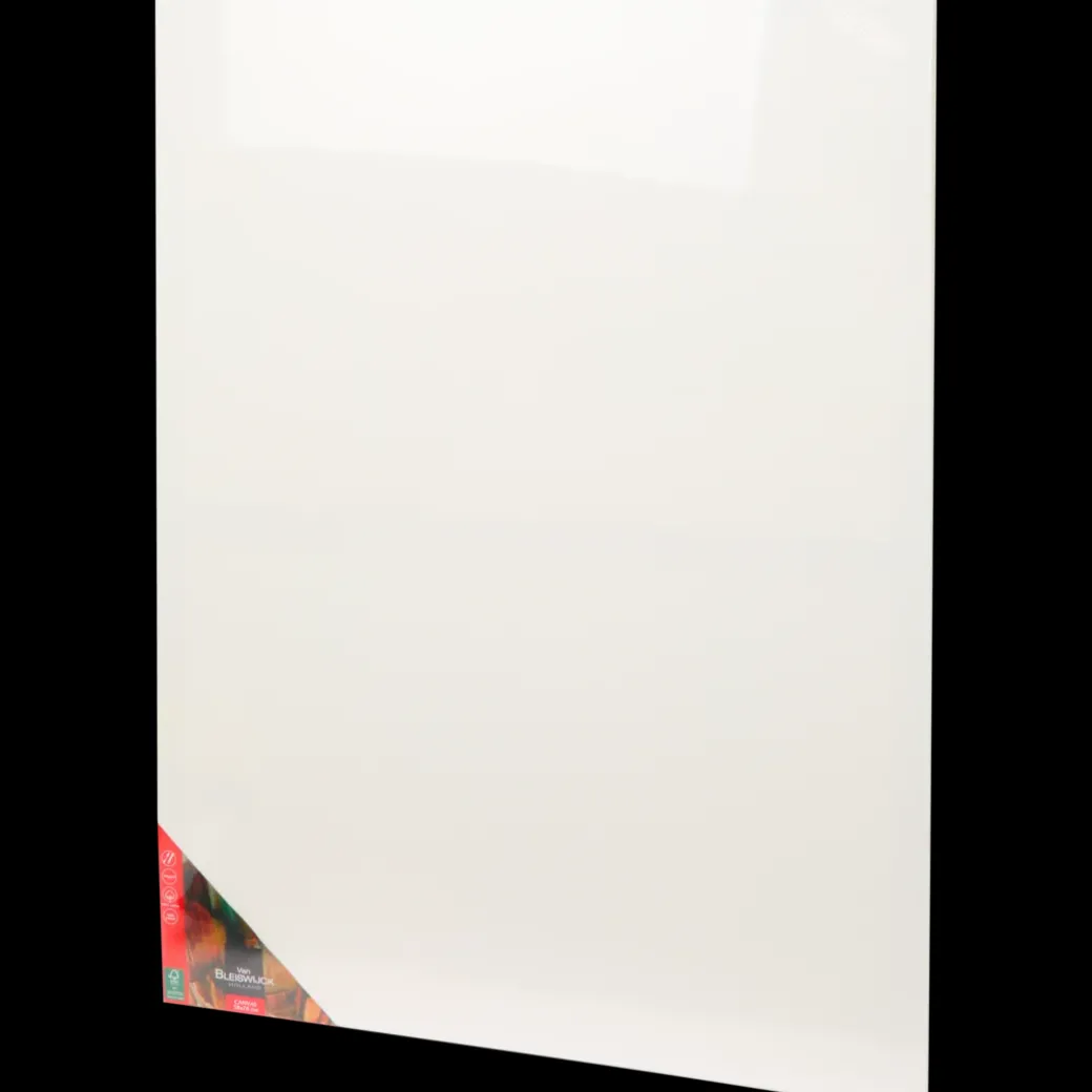 Van Bleiswijck canvas | Action NL