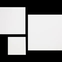 Van Bleiswijck canvassen | Action NL