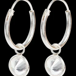 Zilveren oorbellen | Action NL